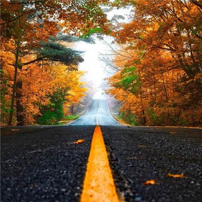 久游棋牌app下载